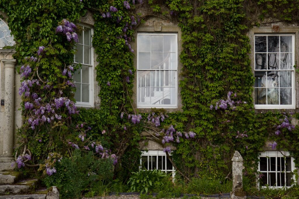 is blauwe regen giftig